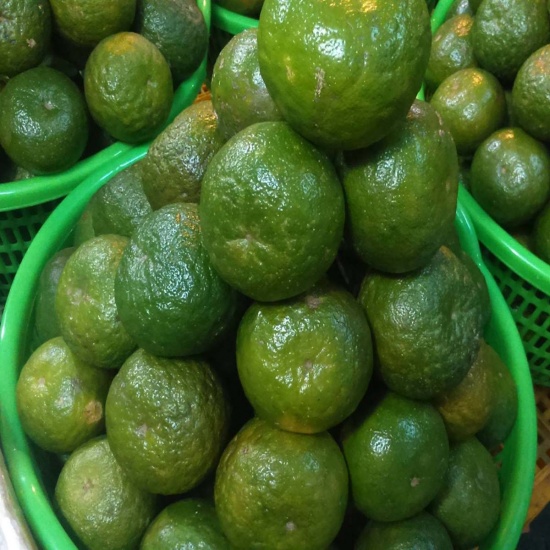 Cam sành miền tây, tươi ngon, an toàn